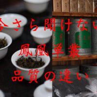 今さら聞けない ”鳳凰単叢” の品質の違い