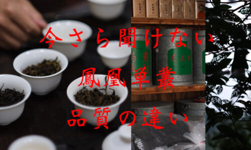 今さら聞けない ”鳳凰単叢” の品質の違い