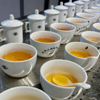 伝統と最新の中国紅茶