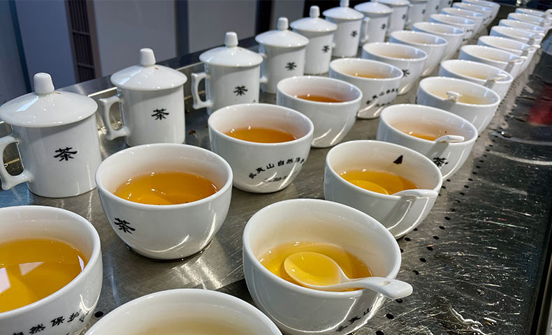 伝統と最新の中国紅茶