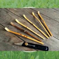 茶杓を削ってみよう！