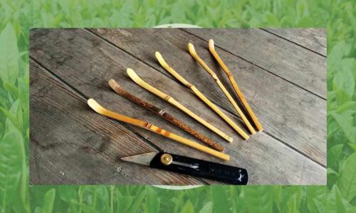 茶杓を削ってみよう！