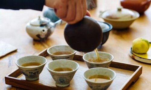 使ってみよう常滑の急須