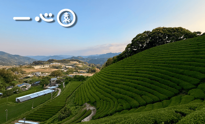 06-2 一心園｜販売ブース