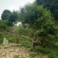 15 Ethnic Tea Salon｜販売ブース