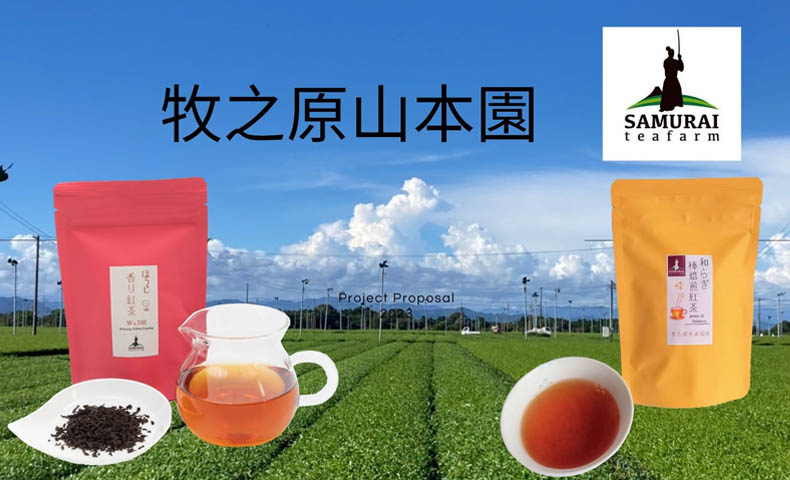 23 牧之原山本園｜販売ブース