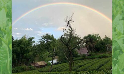 28 みとちゃ農園｜販売ブース