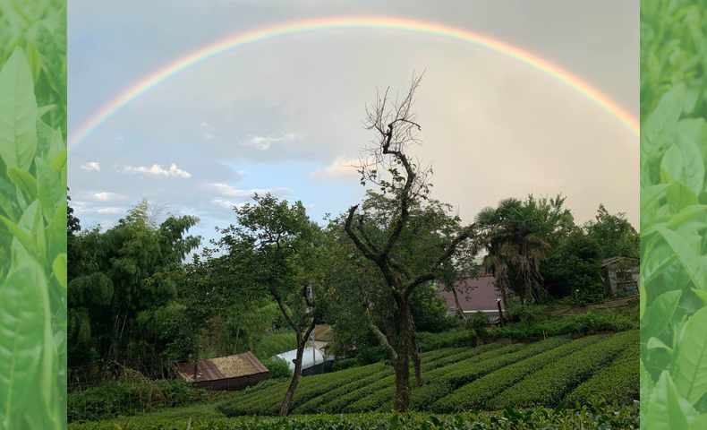 28 みとちゃ農園｜販売ブース