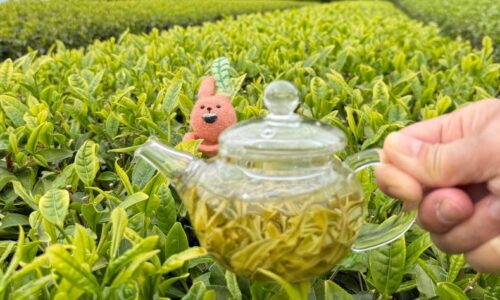 34 駄農園｜販売ブース