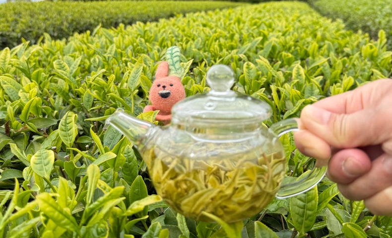 34 駄農園｜販売ブース