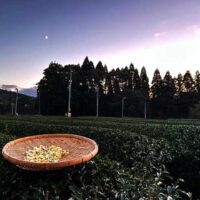 43 雪星園｜販売ブース