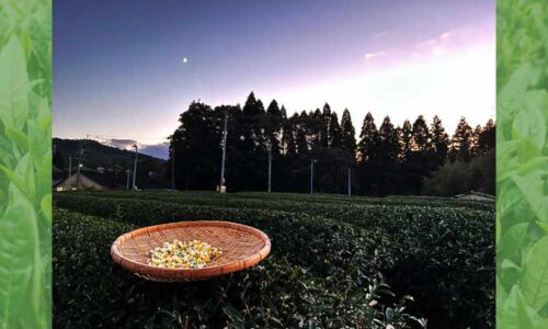 43 雪星園｜販売ブース